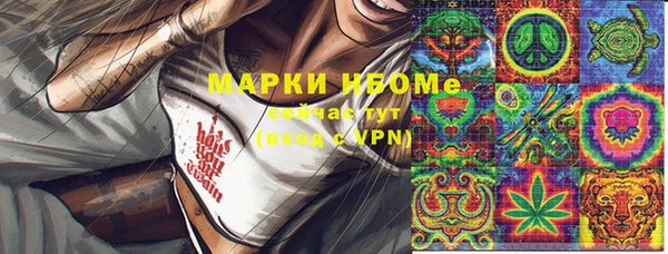 ГАЛЛЮЦИНОГЕННЫЕ ГРИБЫ Горно-Алтайск
