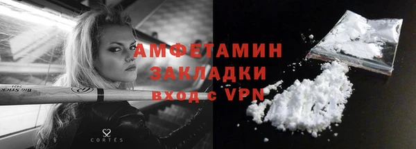 ГАЛЛЮЦИНОГЕННЫЕ ГРИБЫ Горно-Алтайск