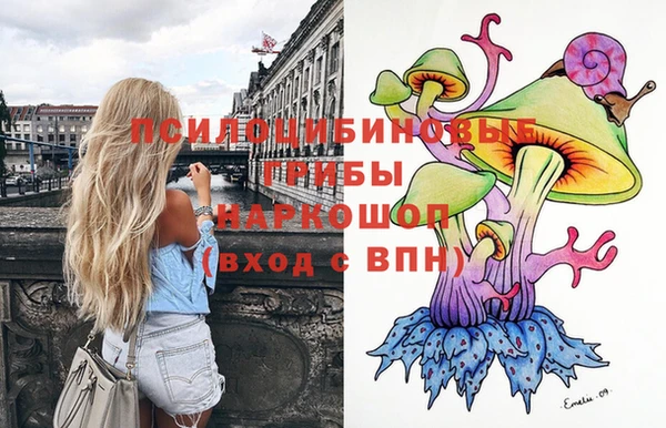 спайс Гусев