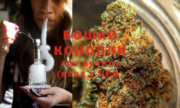 ГАЛЛЮЦИНОГЕННЫЕ ГРИБЫ Горно-Алтайск