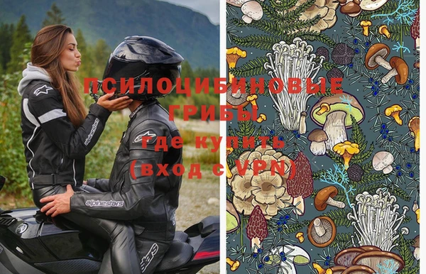 ГАЛЛЮЦИНОГЕННЫЕ ГРИБЫ Горно-Алтайск
