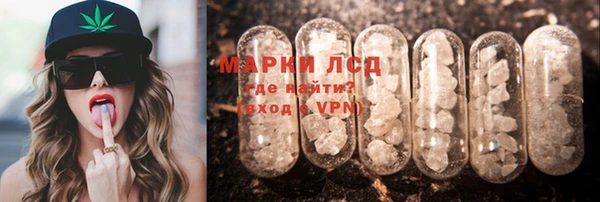 спайс Гусев
