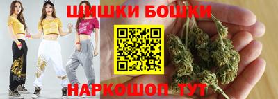 МДПВ Будённовск