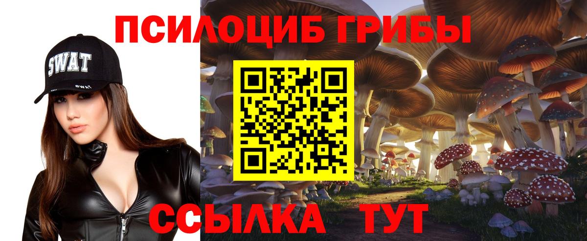 Елабуга  купить наркоту  Вход с VPN  Псилоцибиновые грибы Psilocybe 